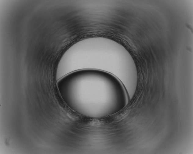 X0000091640416200708230953