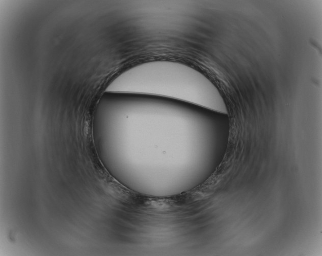 X0000091640417200708230953