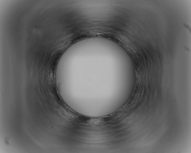 X0000091640418200708230953
