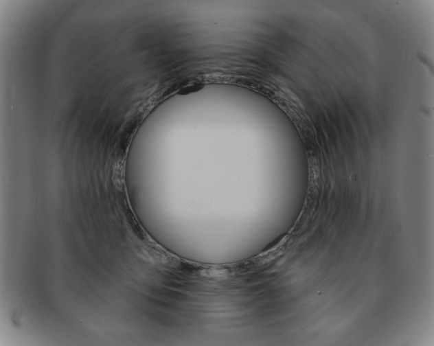 X0000091640419200708230953