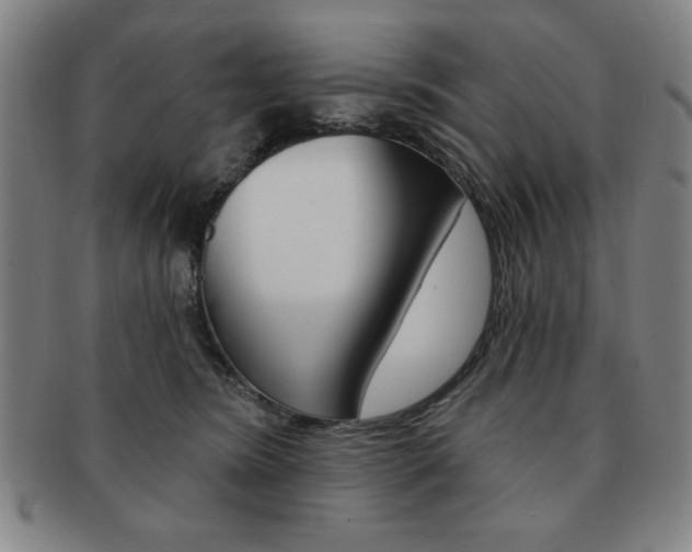 X0000091640420200708230953