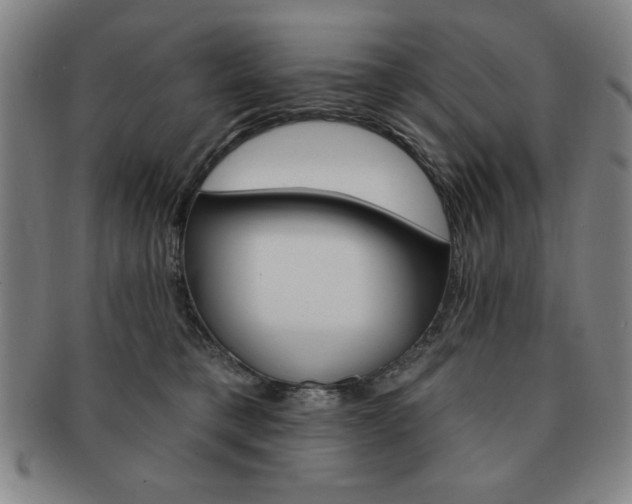X0000091640421200708230953