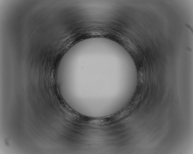 X0000091640422200708230953
