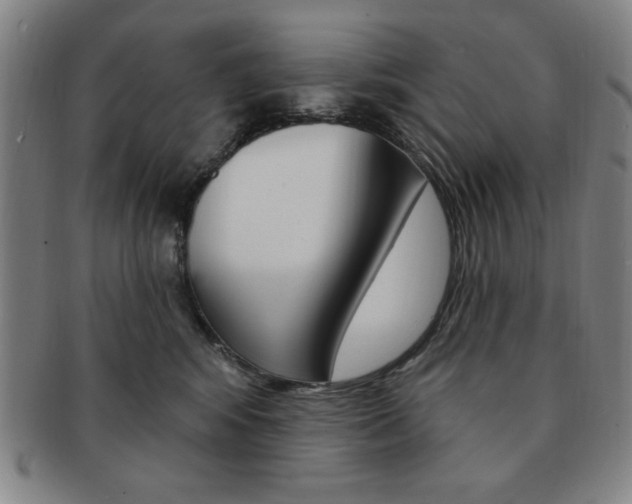 X0000091640424200708230953