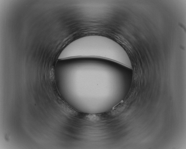 X0000091640425200708230953
