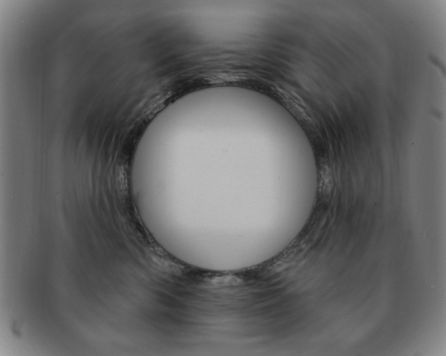 X0000091640426200708230953