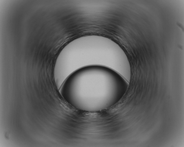 X0000091640428200708230952