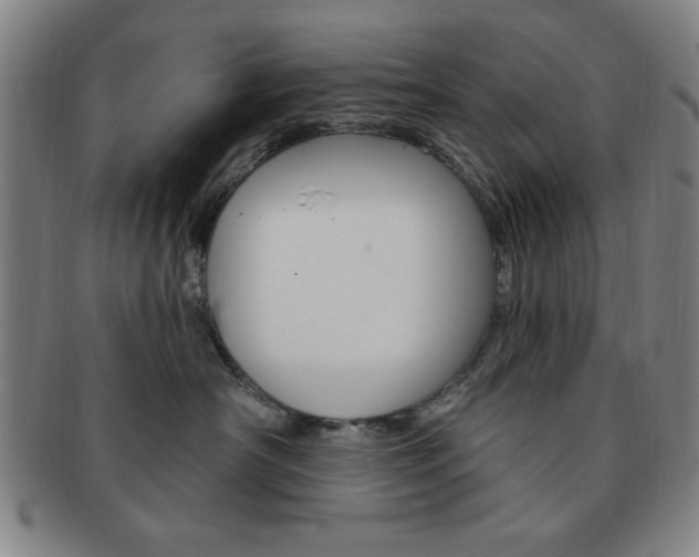 X0000091640430200708230952