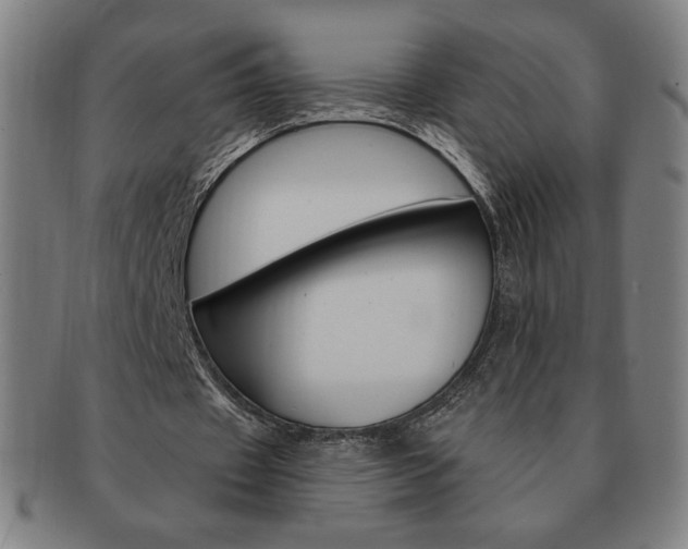 X0000091640433200708230952
