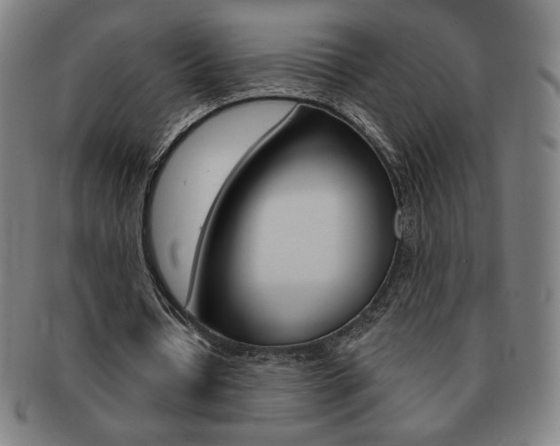 X0000091640434200708230952