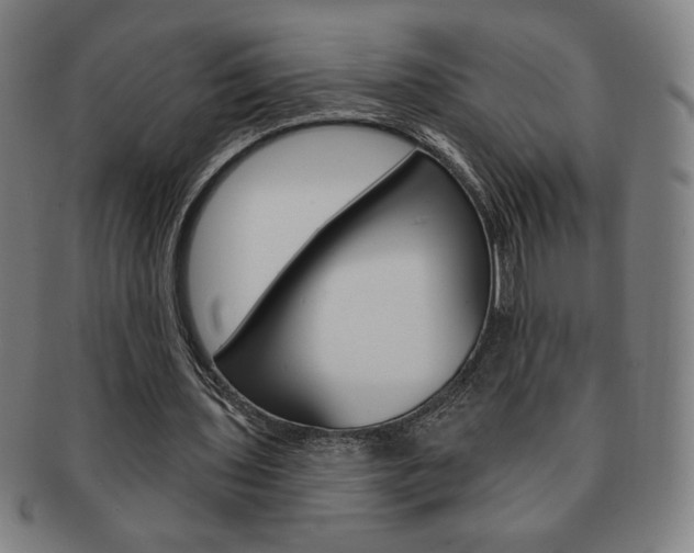X0000091640435200708230952