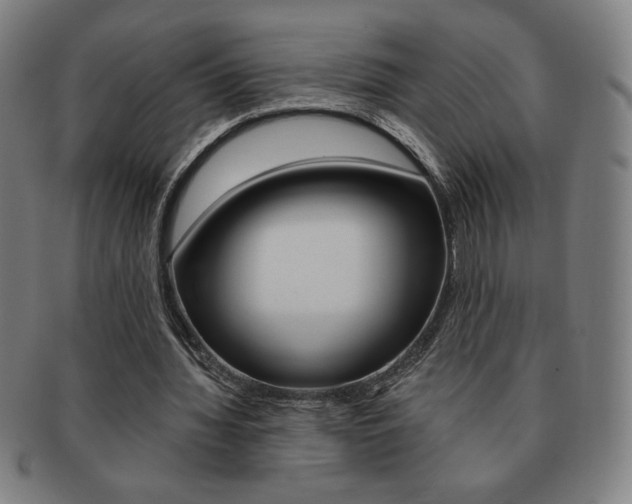 X0000091640436200708230952