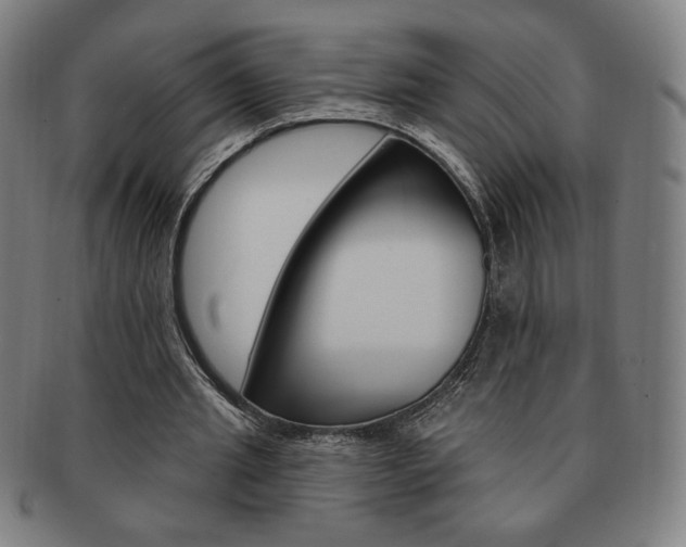 X0000091640437200708230952