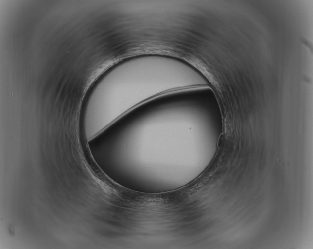 X0000091640438200708230952