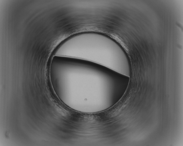 X0000091640439200708230952