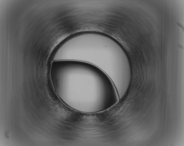 X0000091640440200708230952
