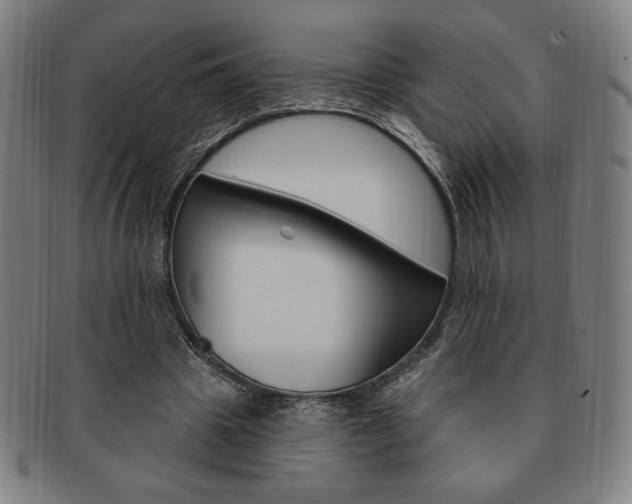 X0000091640441200708230952