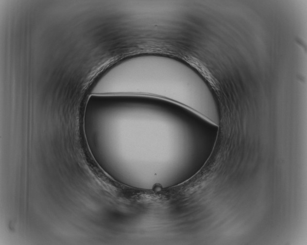 X0000091640442200708230952
