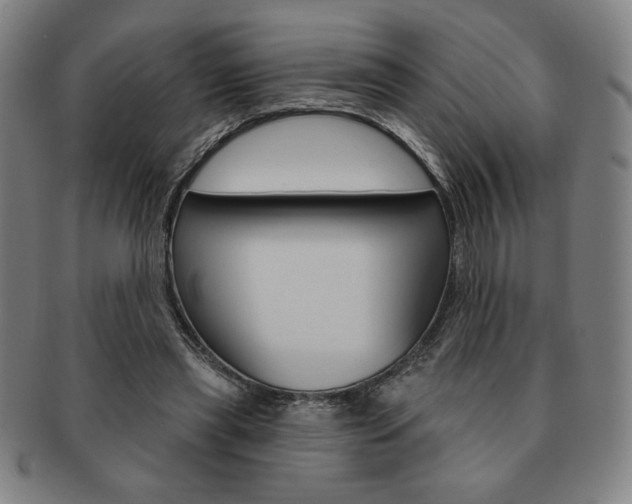 X0000091640445200708230952