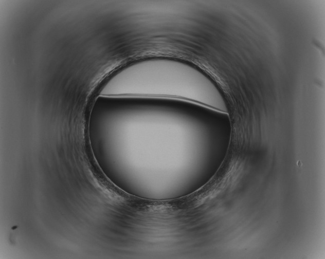 X0000091640446200708230952
