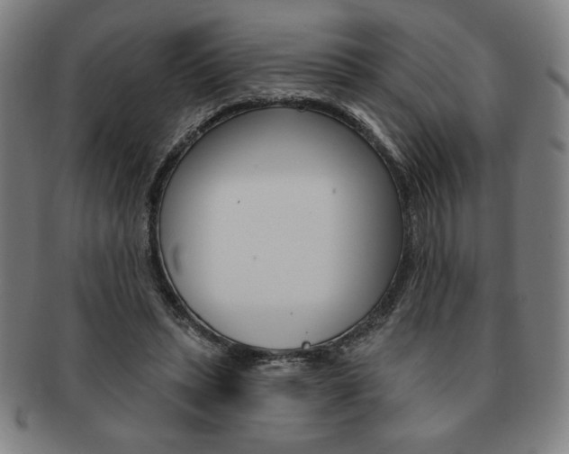X0000091640447200708230952