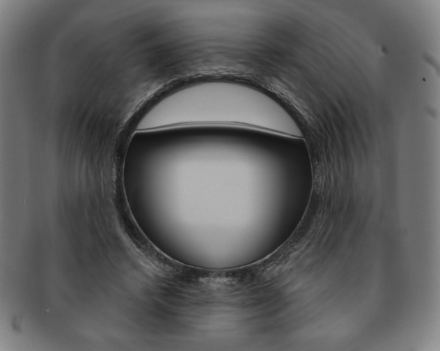 X0000091640448200708230952