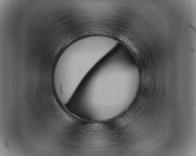 X0000091640449200708230952
