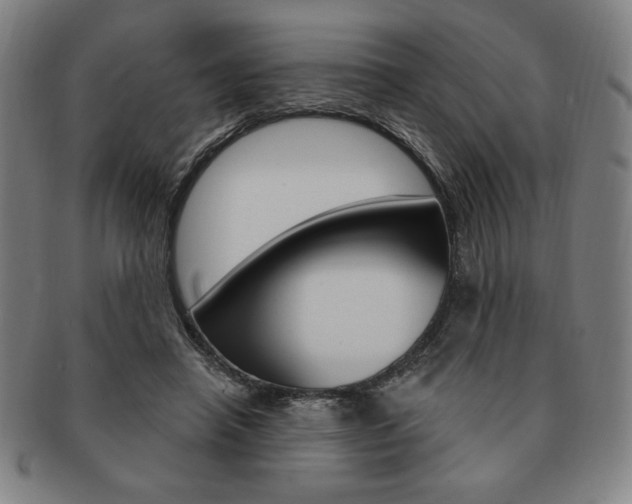 X0000091640450200708230952