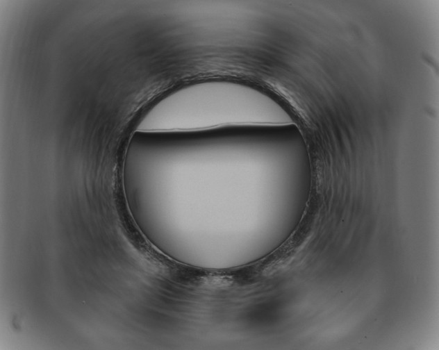 X0000091640451200708230952