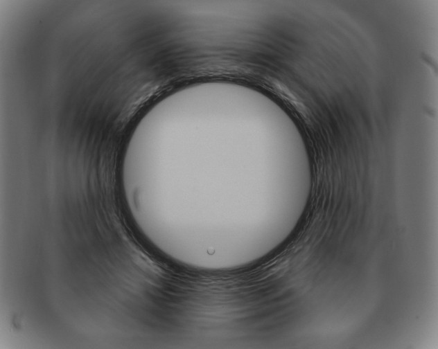 X0000091640452200708230952
