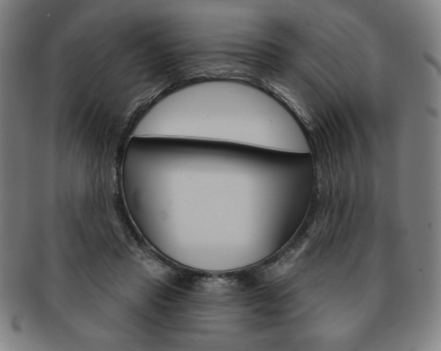 X0000091640453200708230952