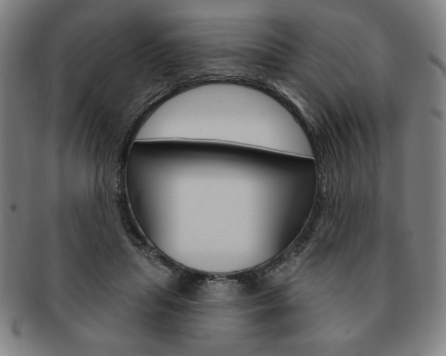 X0000091640455200708230952