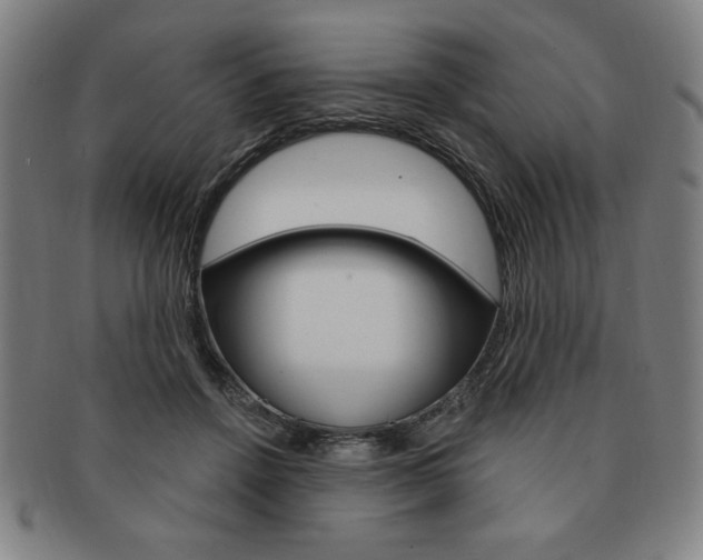 X0000091640456200708230952