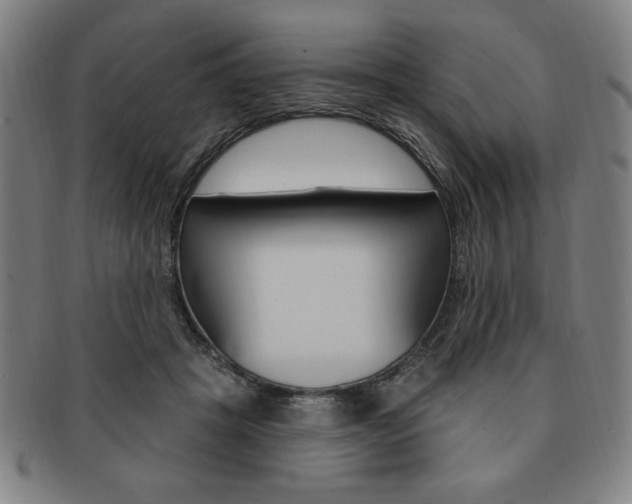 X0000091640457200708230952