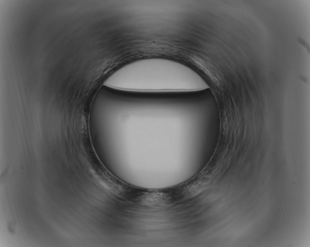 X0000091640459200708230952