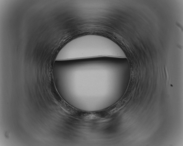X0000091640460200708230952
