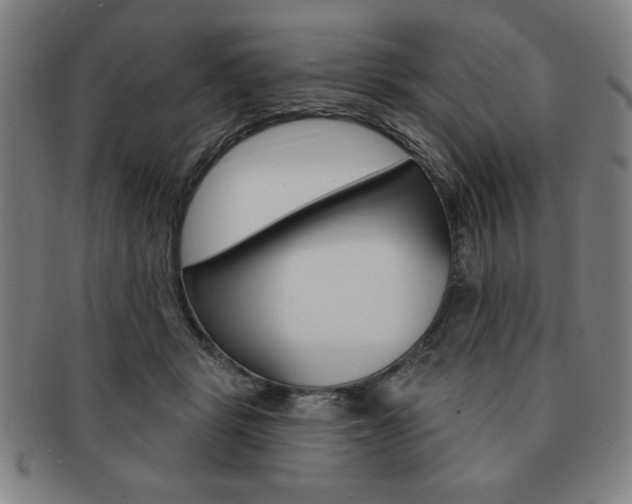 X0000091640461200708230952