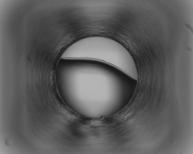 X0000091640462200708230952