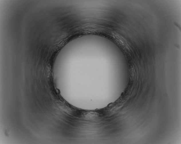 X0000091640463200708230952