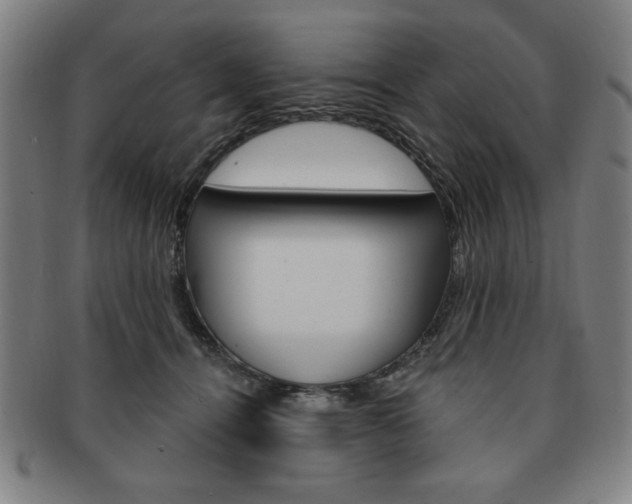 X0000091640464200708230952