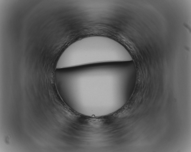 X0000091640465200708230952