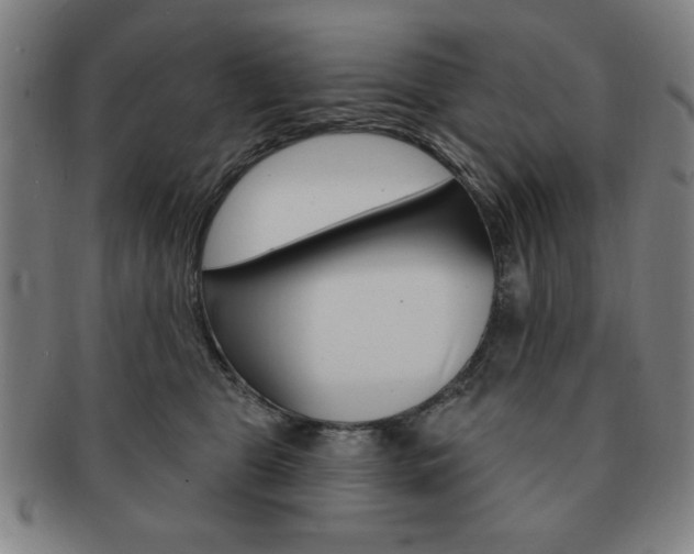 X0000091640469200708230952