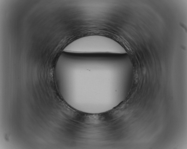 X0000091640473200708230952