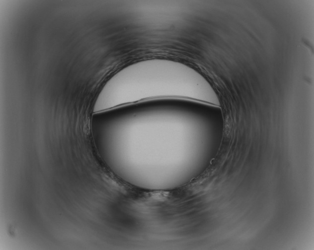 X0000091640474200708230952