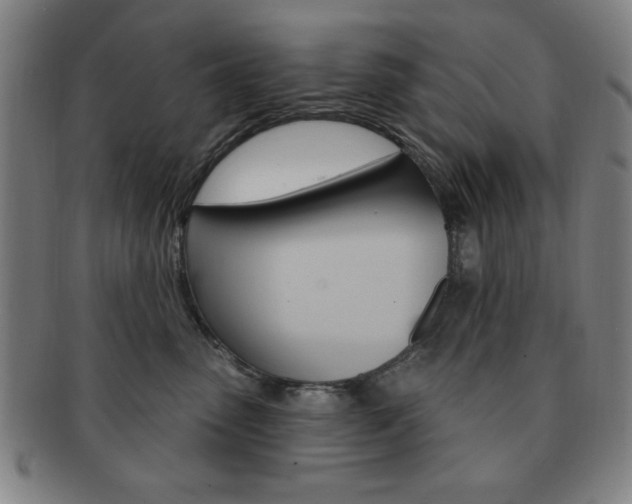 X0000091640475200708230952