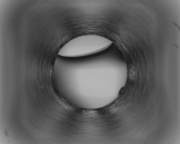 X0000091640476200708230952