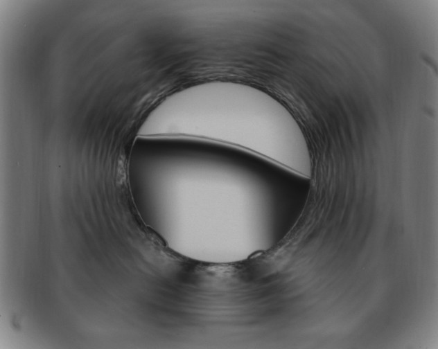 X0000091640478200708230952