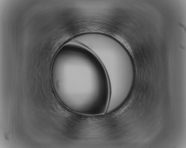 X0000091640481200708230952