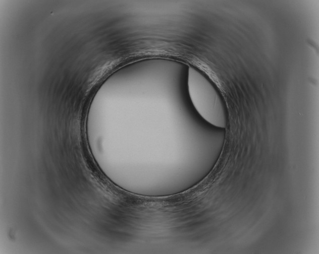 X0000091640482200708230952