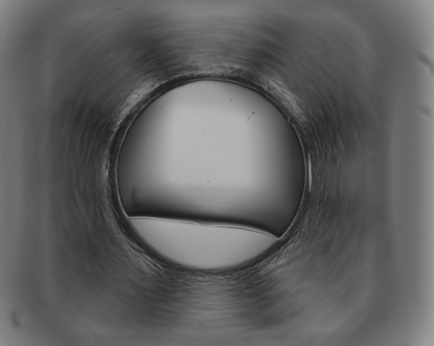 X0000091640483200708230952